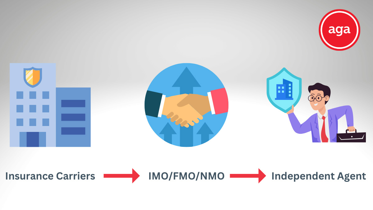IMO/FMO/NMO Process